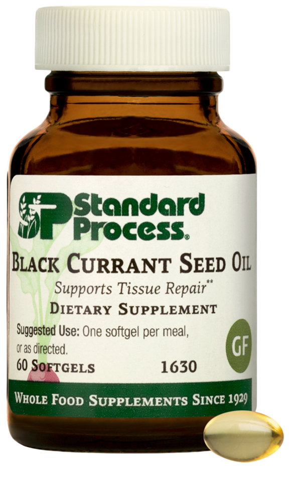 Standard Process Black Currant Seed Oil supplement bottle — GLA and essential fatty acid support