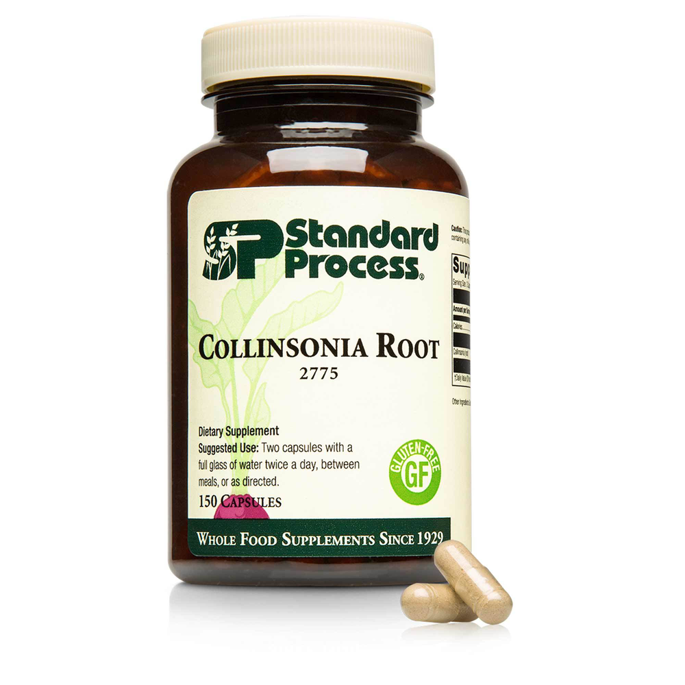 Collinsonia Root product image