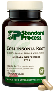 Collinsonia Root
