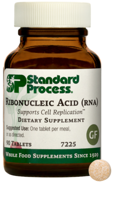 Ribonucleic Acid (RNA)