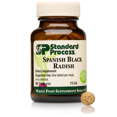 Spanish Black Radish product image