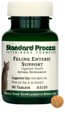 Feline Enteric Support