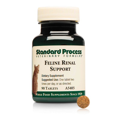 Feline Renal Support product image