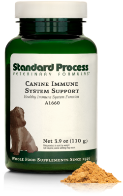 Canine Immune System Support
