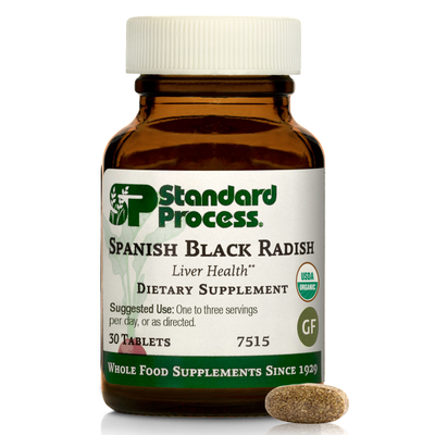 Spanish Black Radish product image