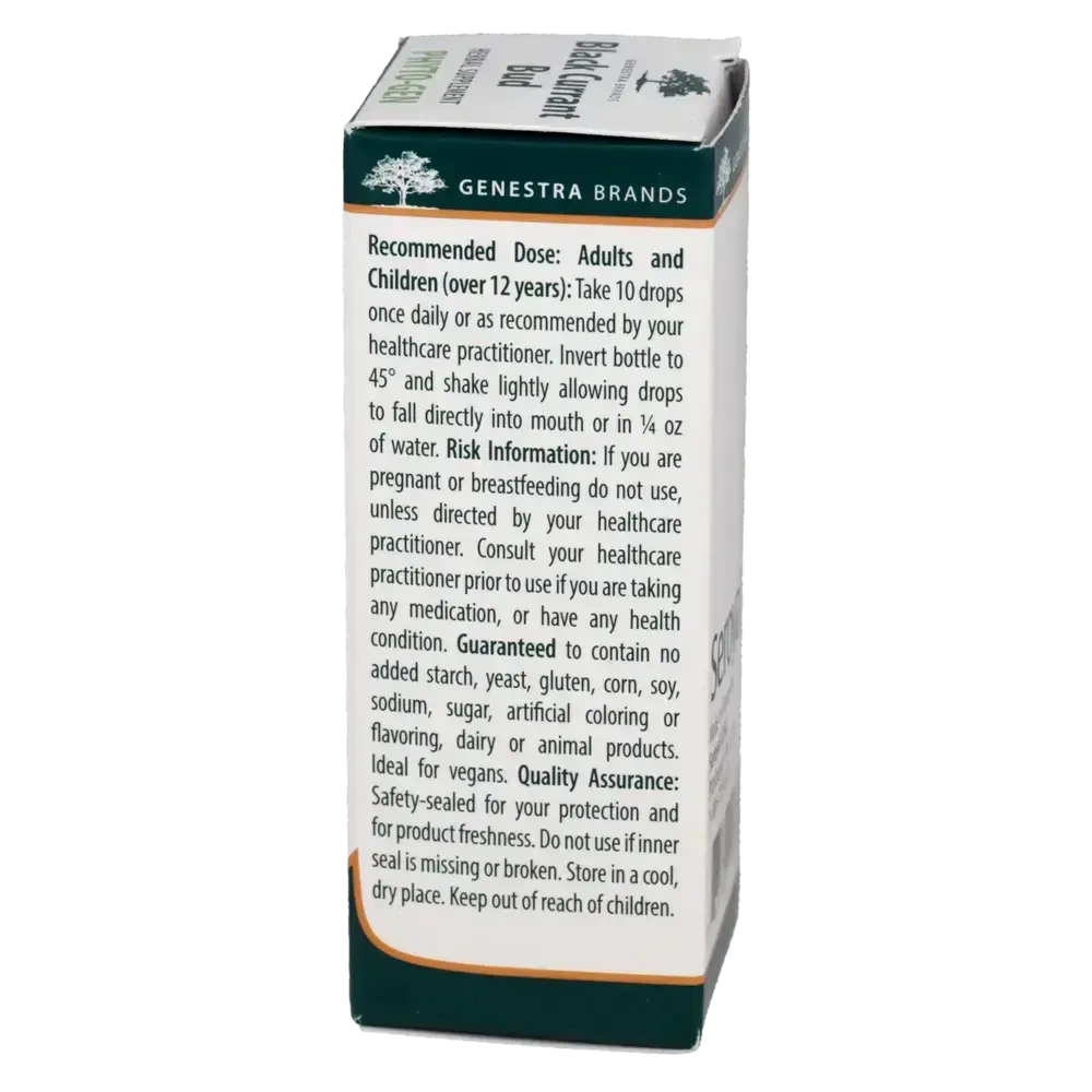 Product image for Black Currant Bud.