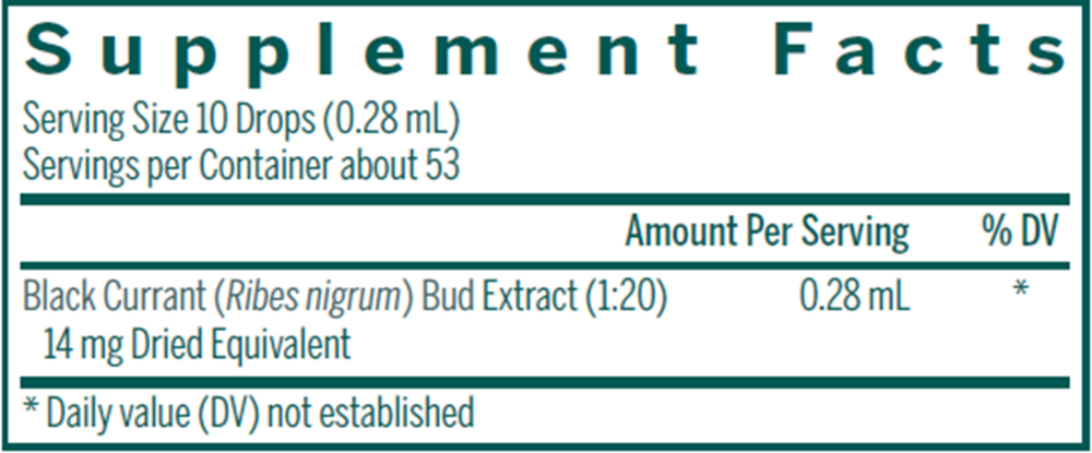 Product image for Black Currant Bud.
