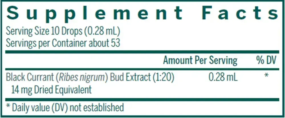 Product image for Black Currant Bud.