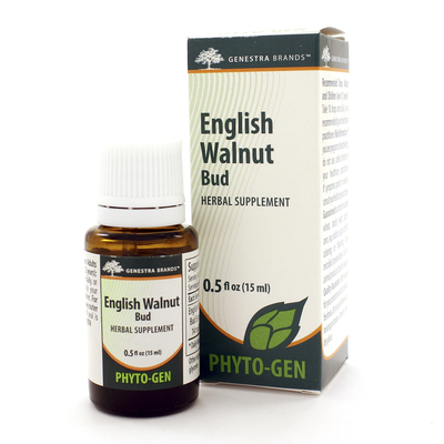 English Walnut Bud 15 Milliliters