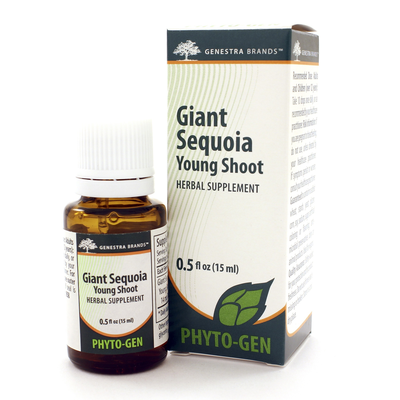 Giant Sequoia Young Shoot (15 Milliliters)