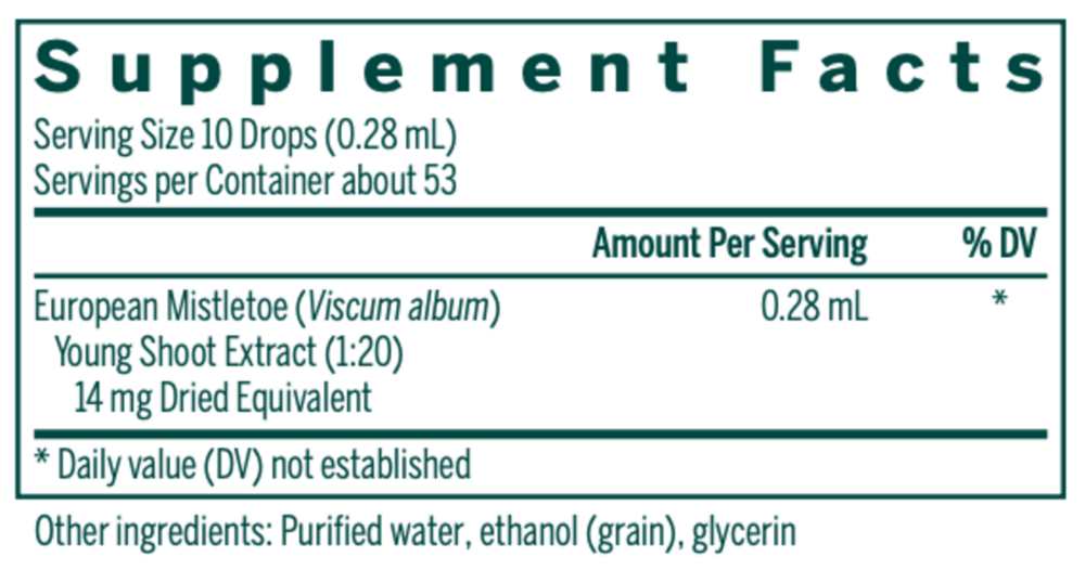 Product image for European Mistletoe Young Shoot.