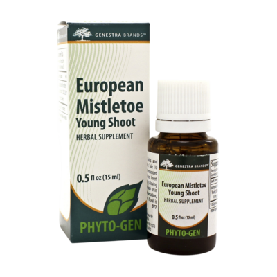 European Mistletoe Young Shoot