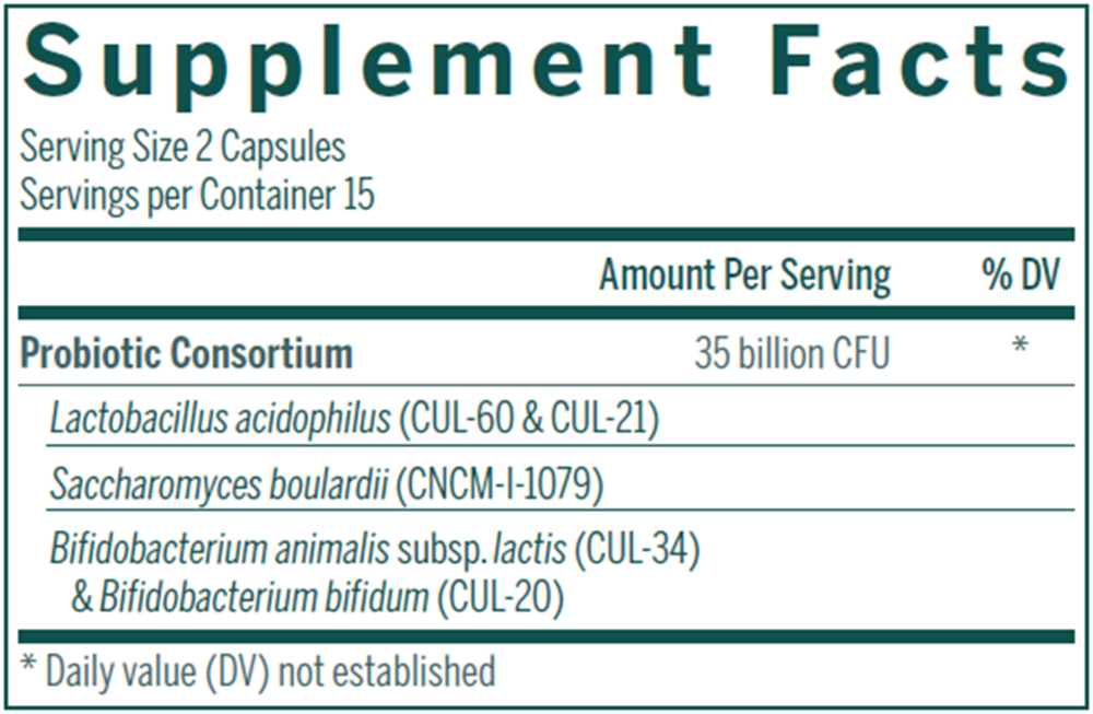 Product image for HMF Travel.