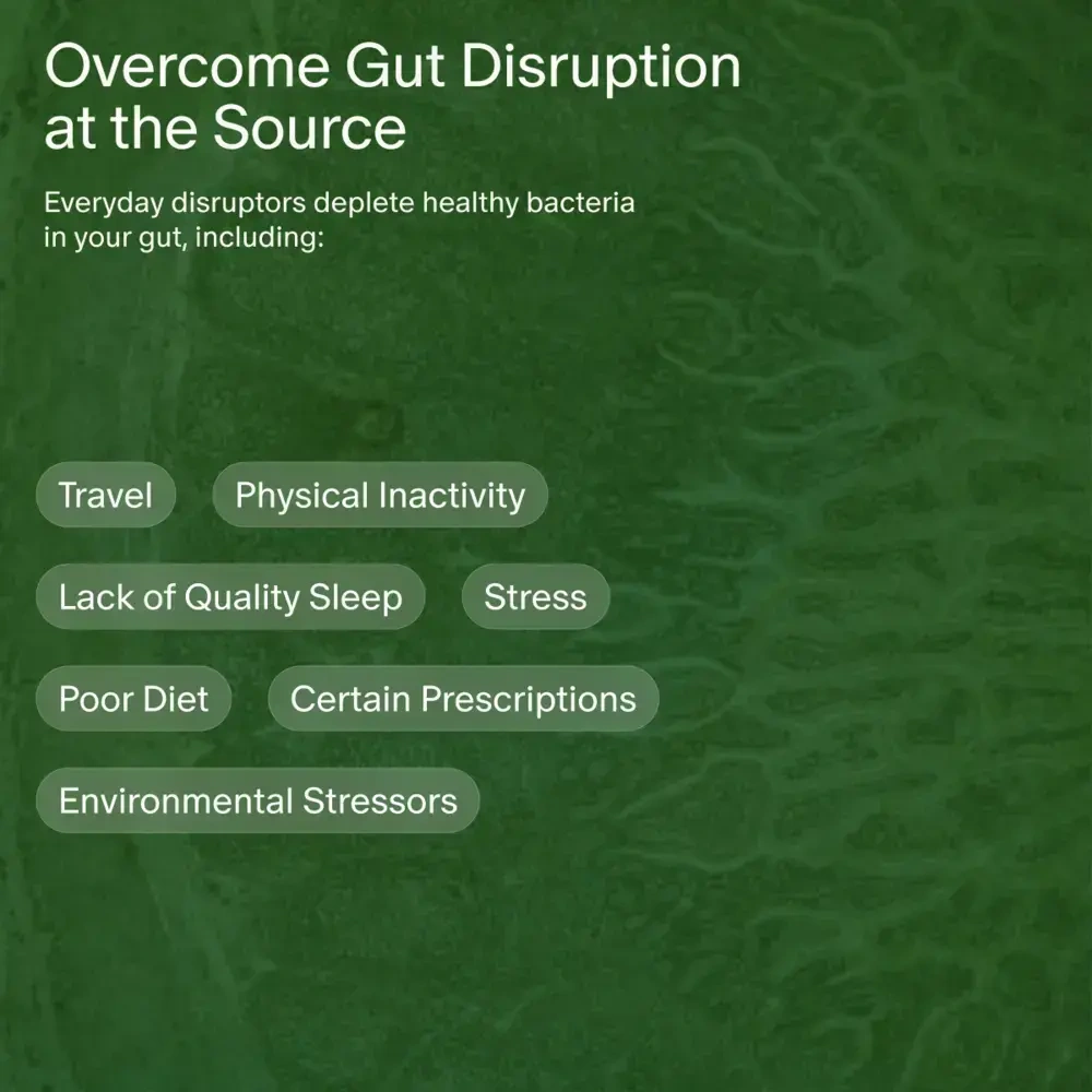 Product image for DS–01® 14 Day Gut Reset.
