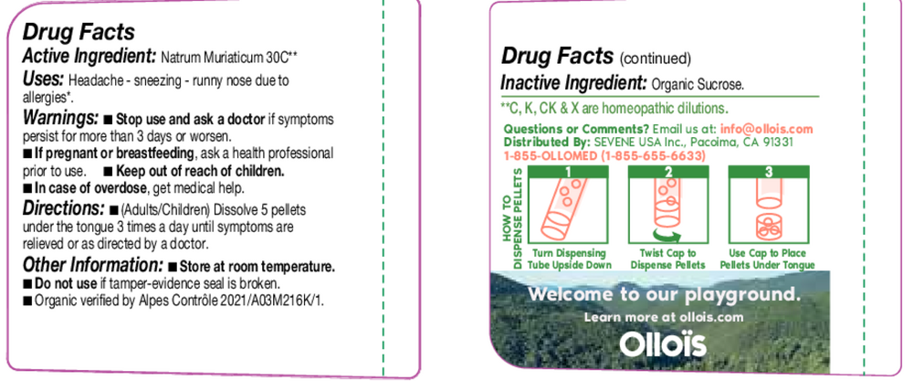 Product image for Olloïs Natrum Muriaticum 30c Pellets, 80.