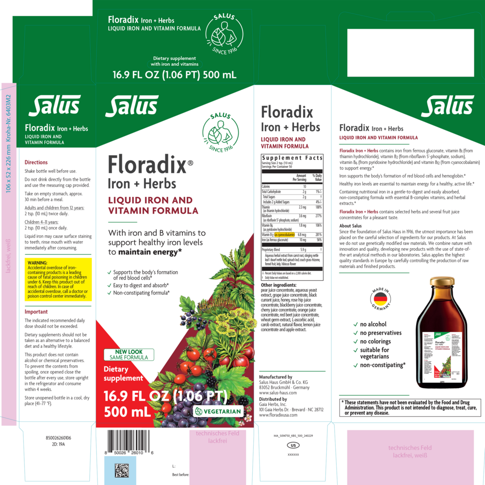 Product image for Floradix® Iron + Herbs Liquid Iron and Vitamin (Vegetarian).