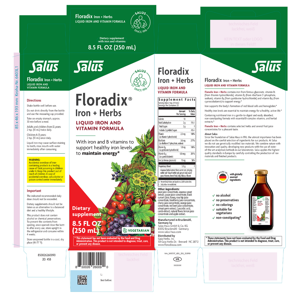 Product image for Floradix® Iron + Herbs Liquid Iron and Vitamin (Vegetarian).