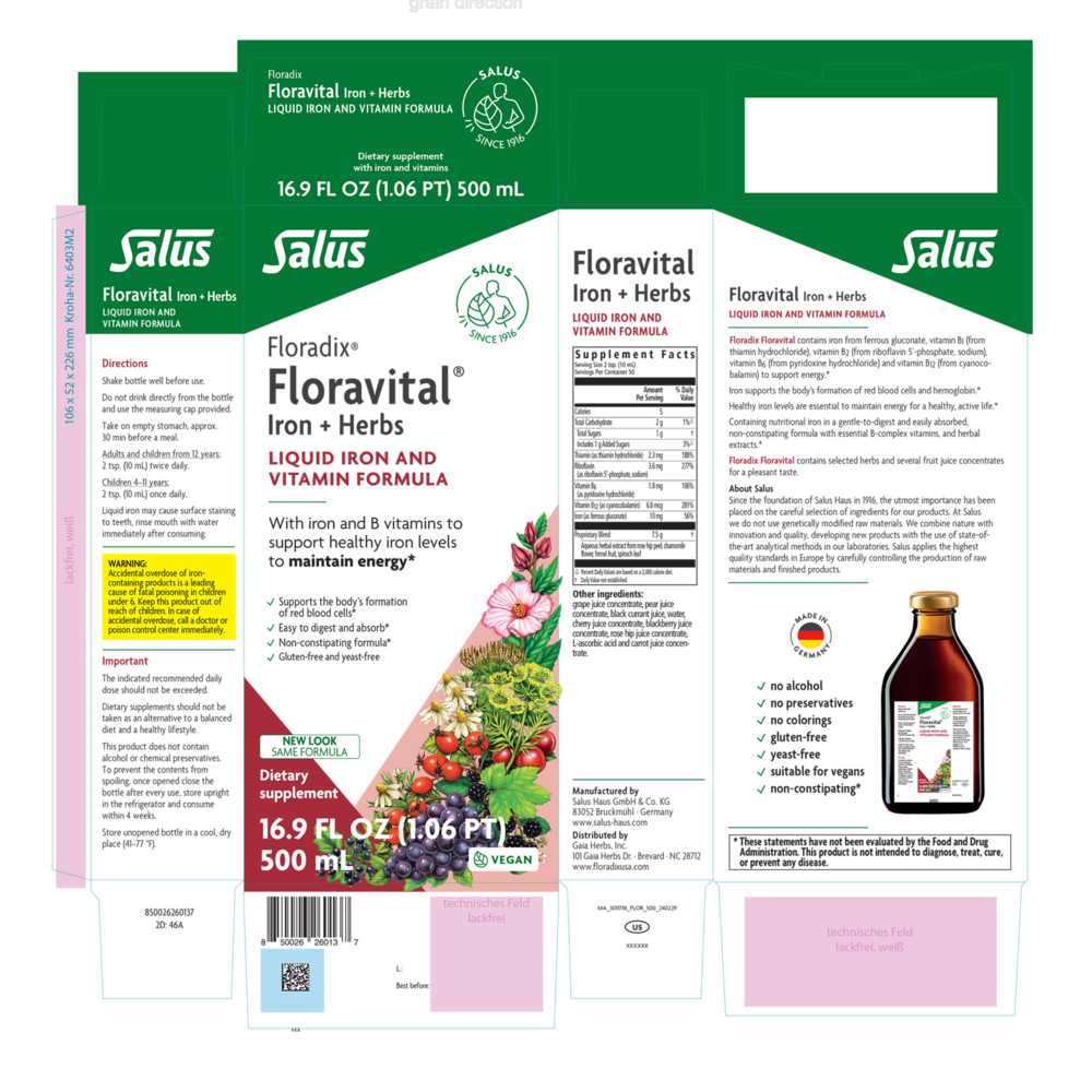 Product image for Floradix® Floravital® Iron + Herbs Liquid Iron and Vitamin (Vegan).
