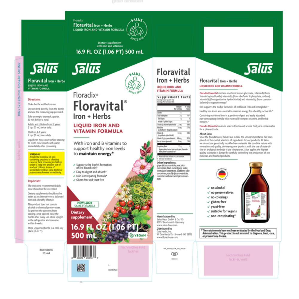 Product image for Floradix® Floravital® Iron + Herbs Liquid Iron and Vitamin (Vegan).