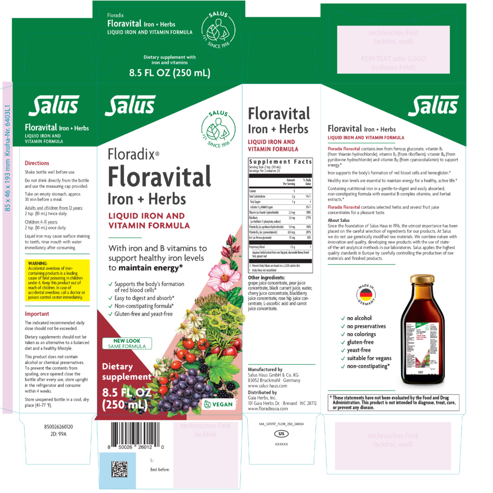 Product image for Floradix® Floravital® Iron + Herbs Liquid Iron and Vitamin (Vegan).