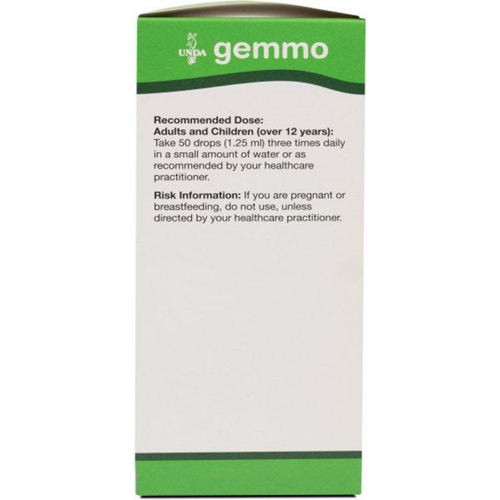 Product image for Abies Alba.