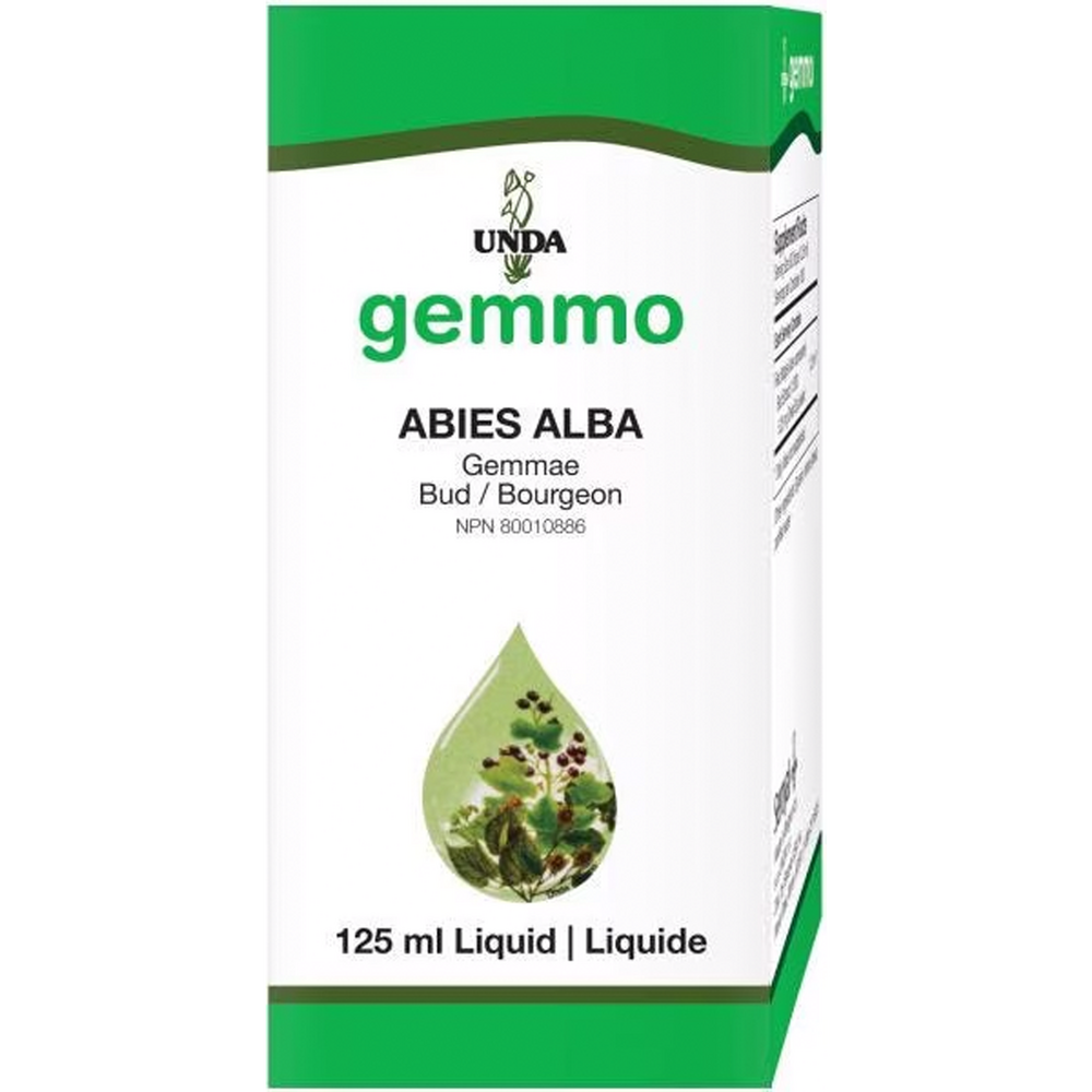 Product image for Abies Alba.