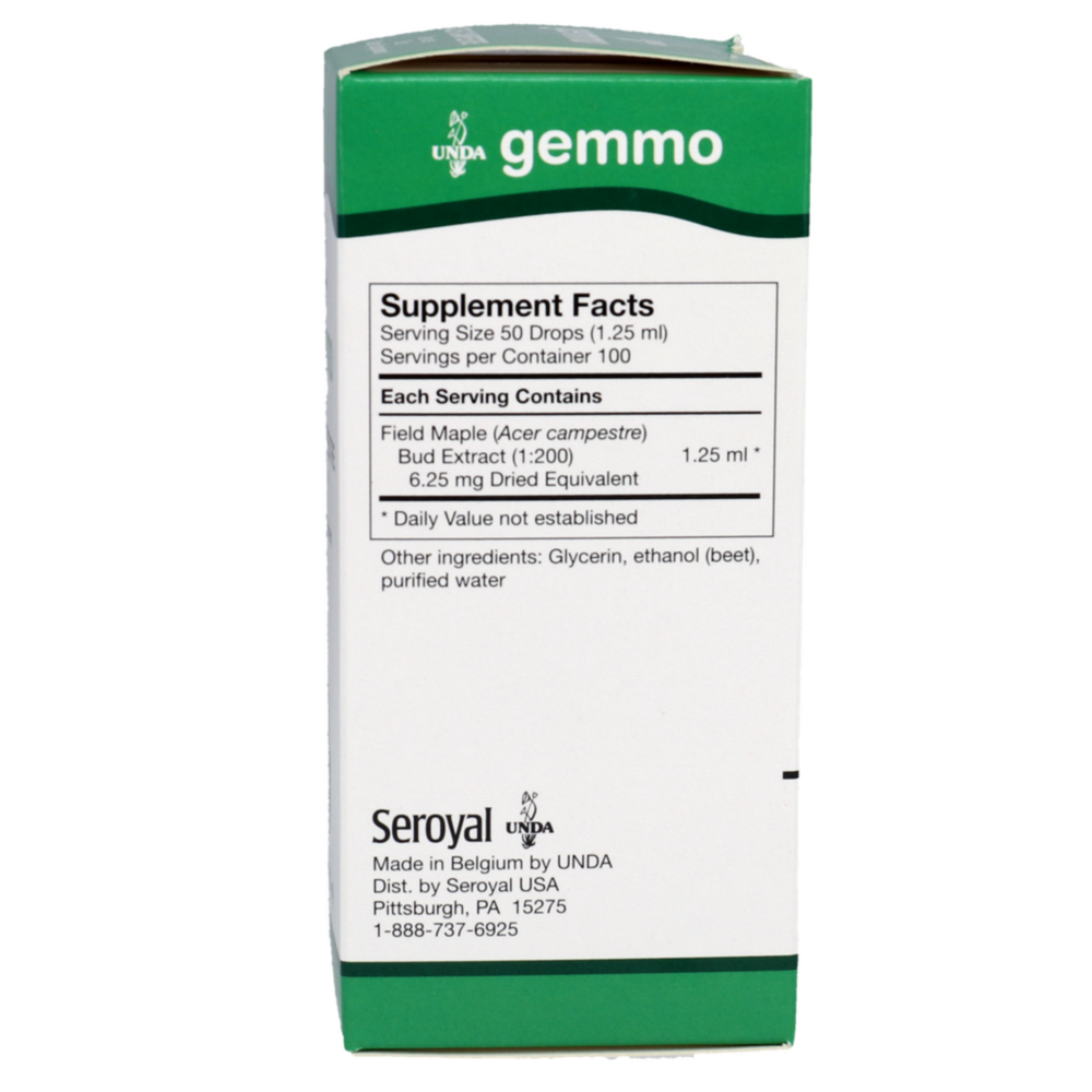 Product image for Acer campestre.