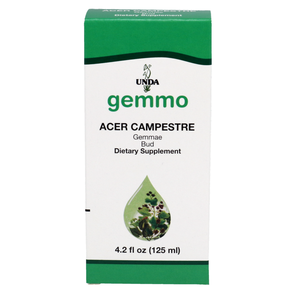 Product image for Acer campestre.