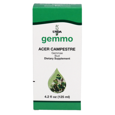 Acer campestre 125 Milliliters