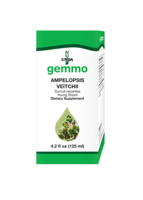 Ampelopsis Veitchii 125 Milliliters