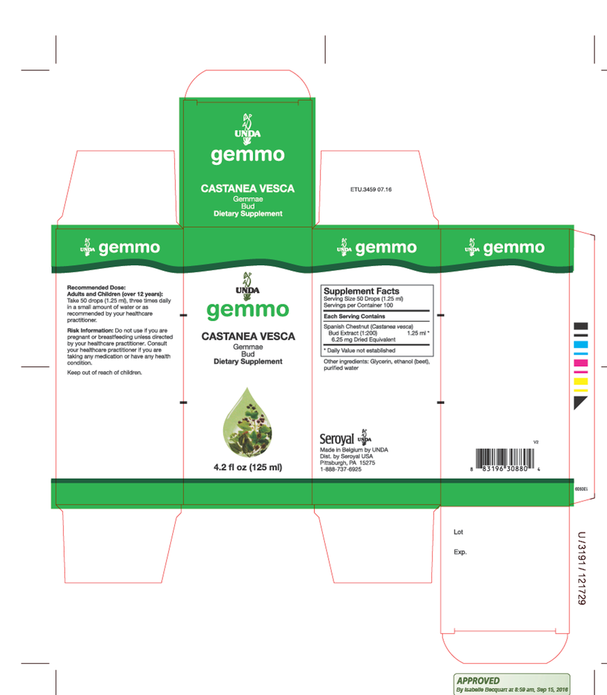 Product image for Castanea Vesca.