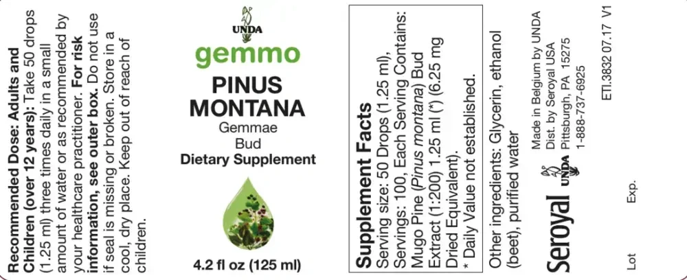 Product image for Pinus montana.