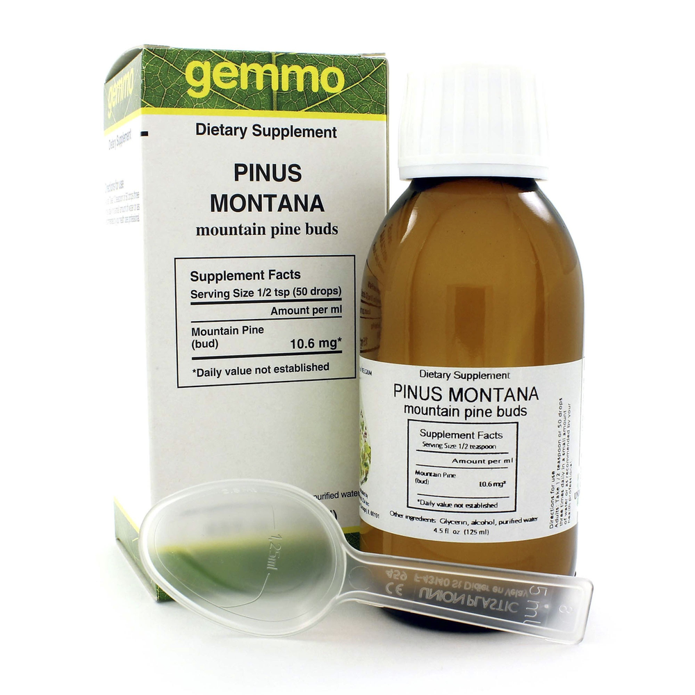 Product image for Pinus montana.