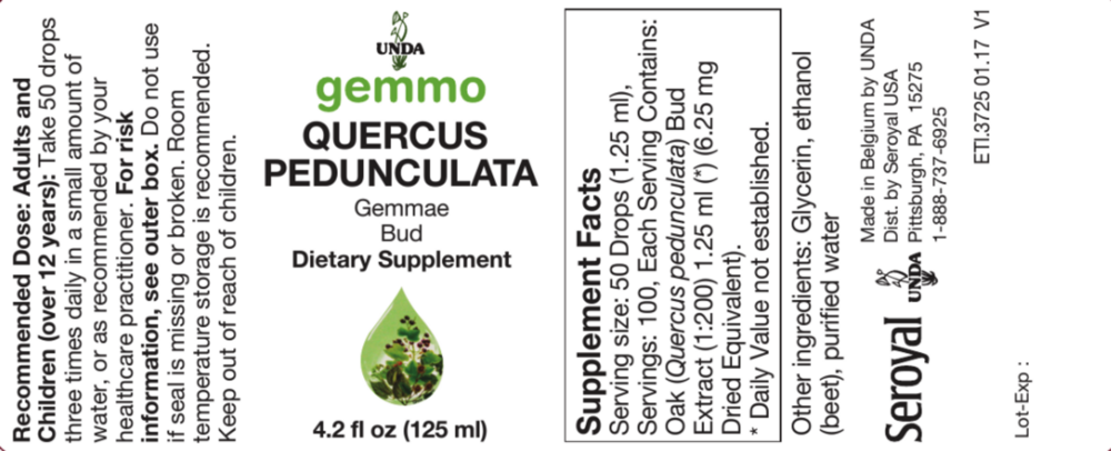 Product image for Quercus pedunculata.