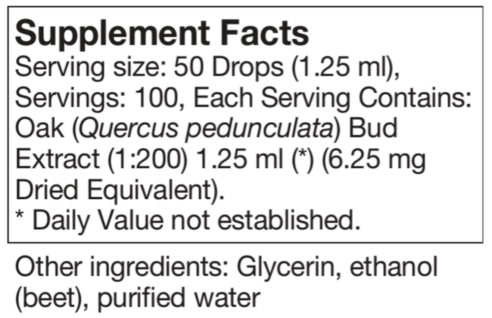 Product image for Quercus pedunculata.