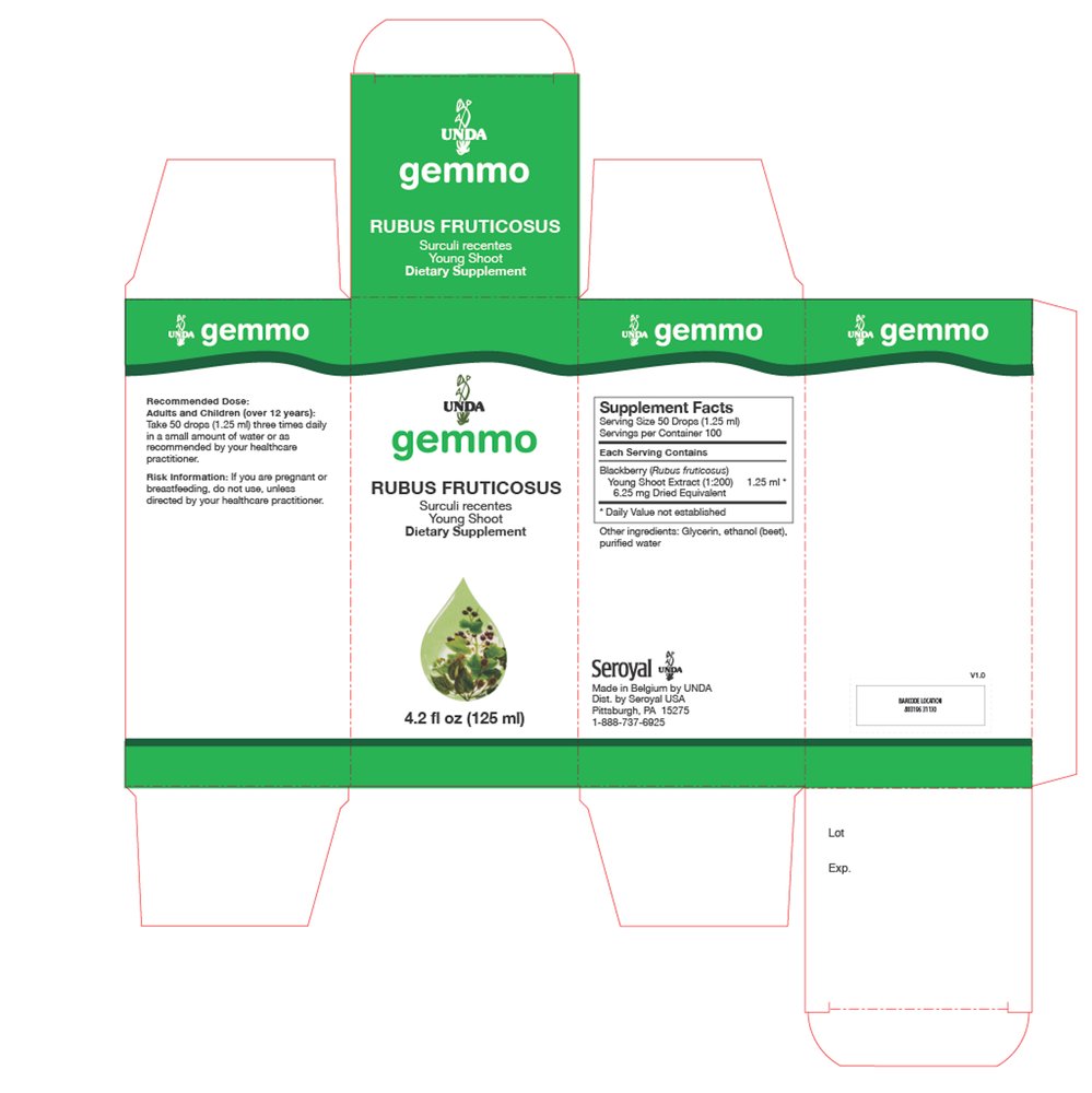Product image for Rubus fruticosus.
