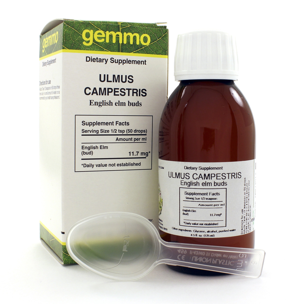 Product image for Ulmus campestris.