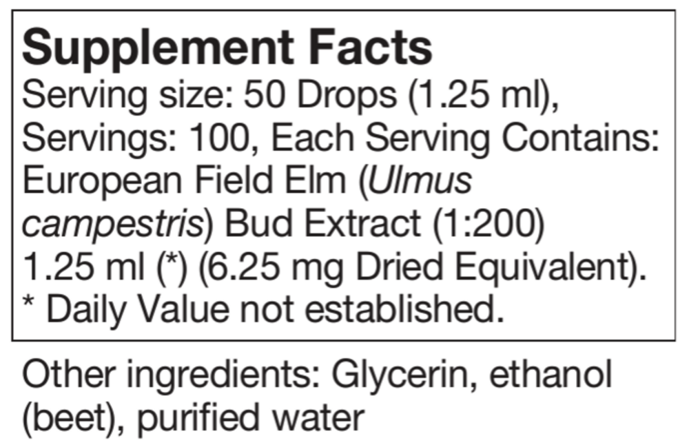 Product image for Ulmus campestris.