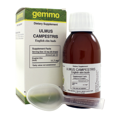 Ulmus campestris 125 Milliliters