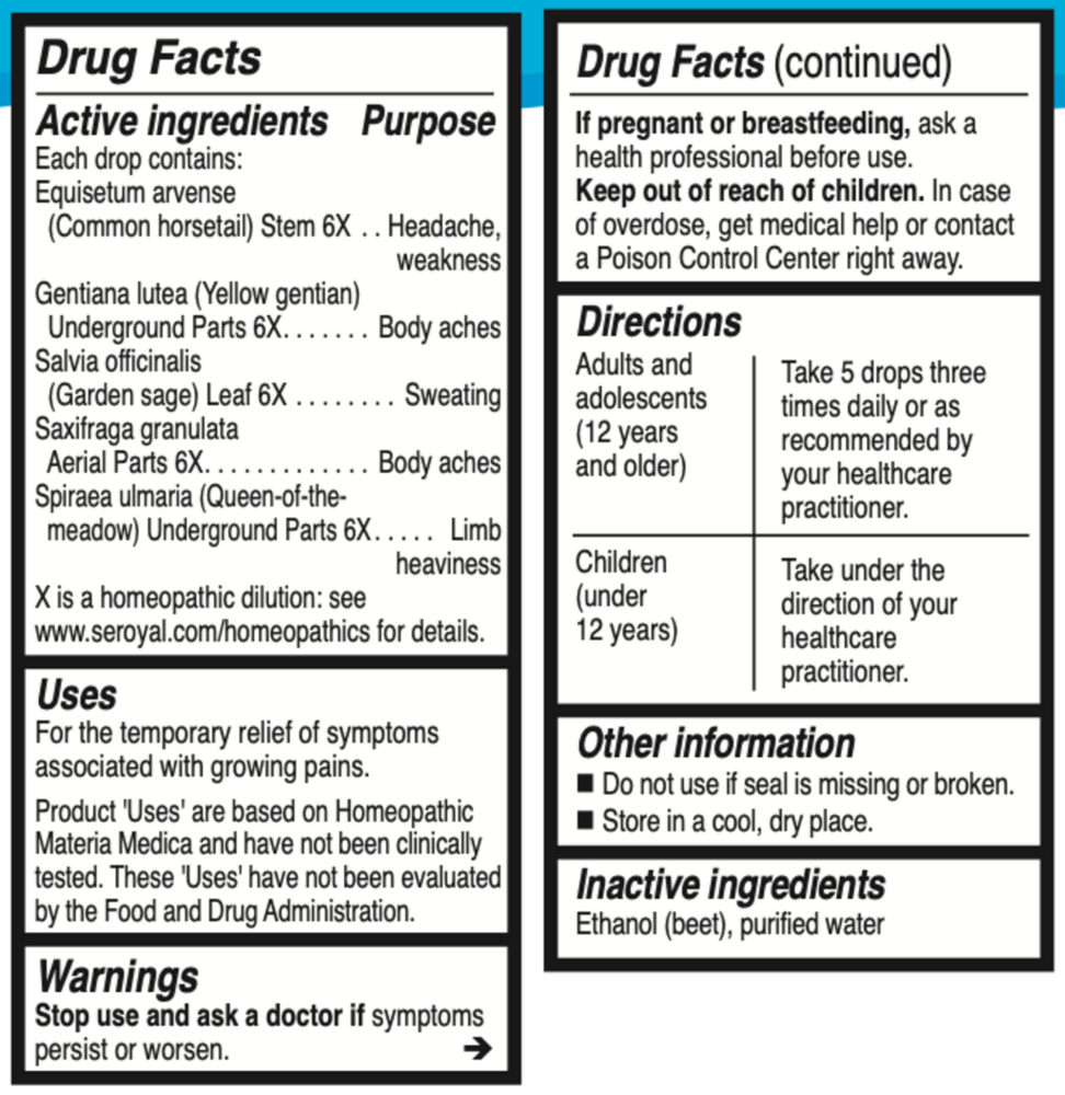 Product image for Unda #240.