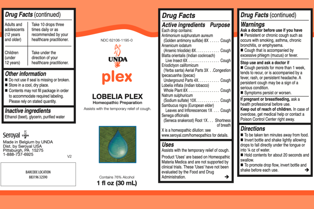 Product image for Lobelia Plex.