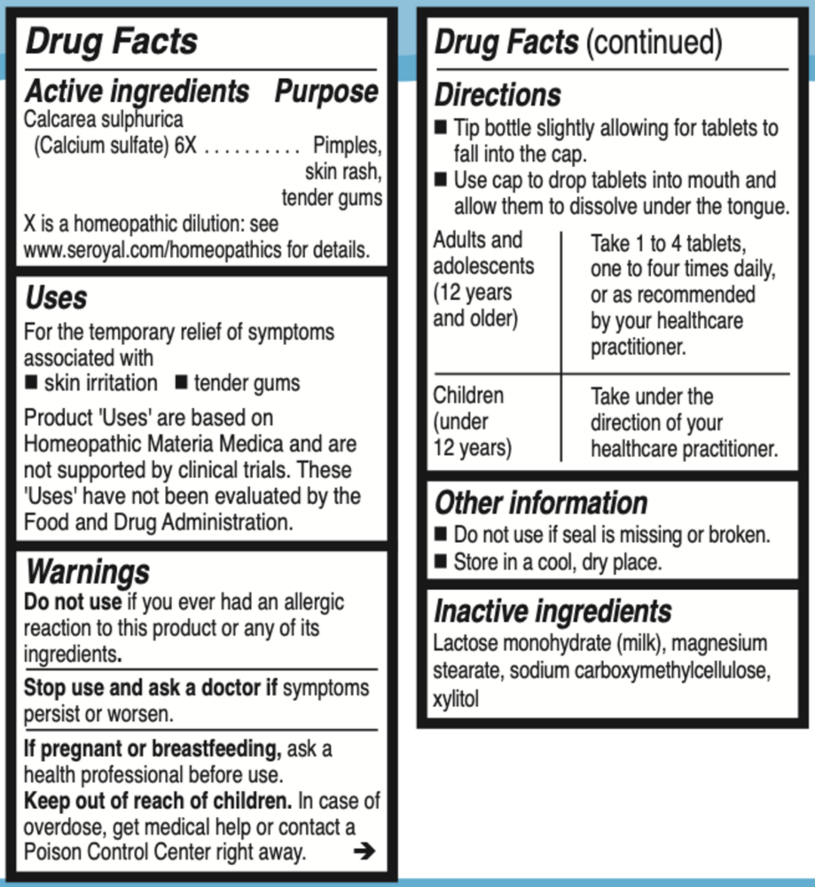 Product image for Calcarea sulfurica 6X (Salt).