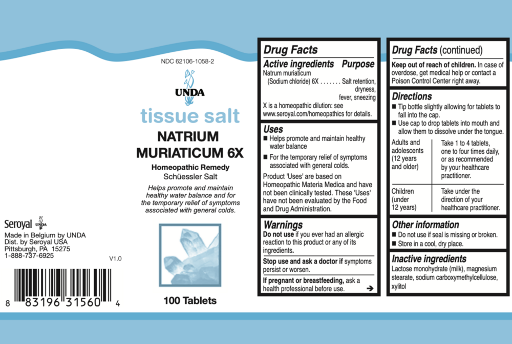 Product image for Natrium muriaticum 6X (Salt).