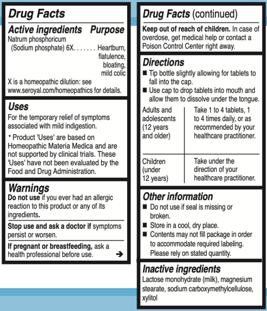Product image for Natrium phosphoricum 6X (Salt).