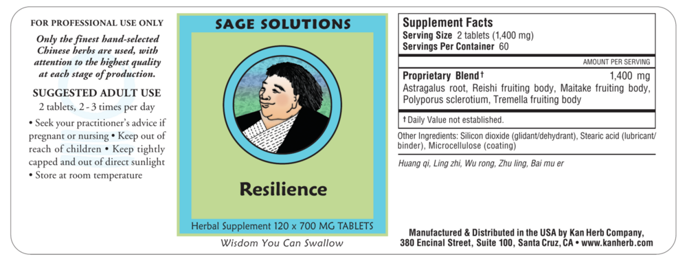 Product image for Resilience.
