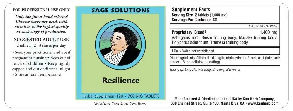 Product image for Resilience.