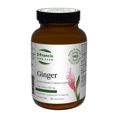 Ginger