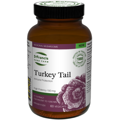 Turkey Tail Medicinal Mushroom