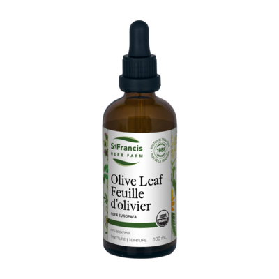 Olive Leaf