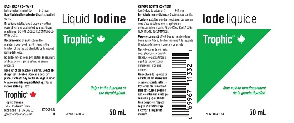 Product image for Iodine Liquid.